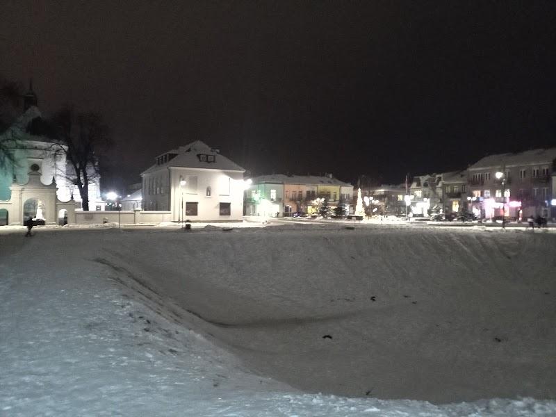 Urząd Pracy Radzyń Podlaski